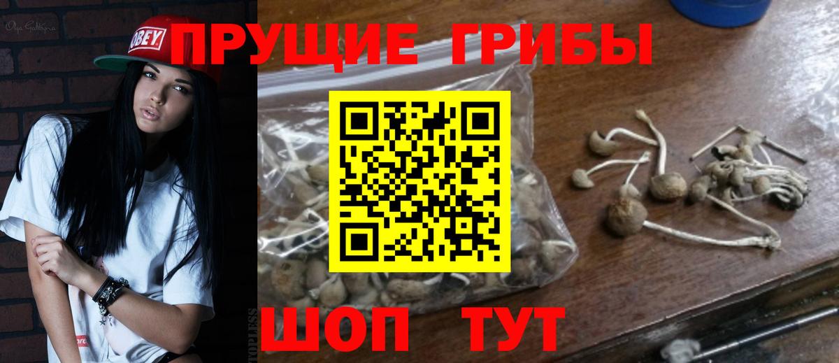 Псилоцибиновые грибы Psilocybe  Псилоцибиновые грибы мухоморы  Вход с VPN  Бутурлиновка 