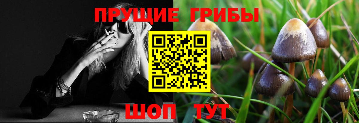 Псилоцибиновые грибы ЛСД Бутурлиновка